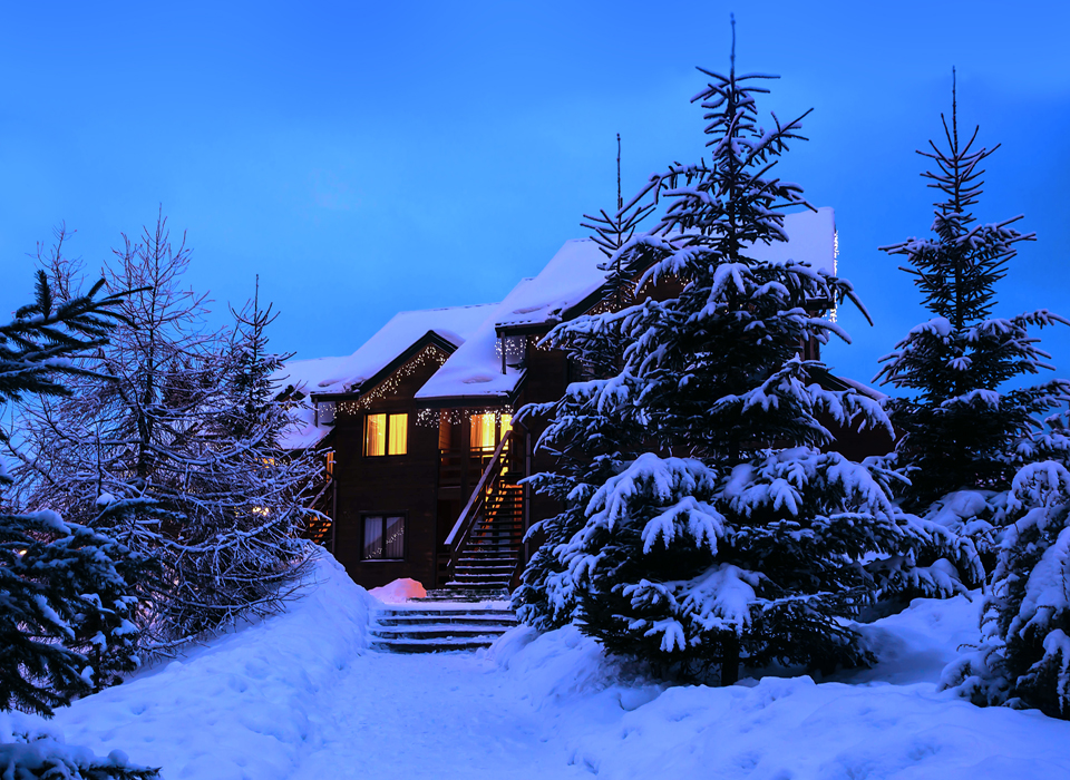 隆冬雪景.jpg